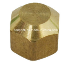 Brass Flare Fitting/Pipe Fittings